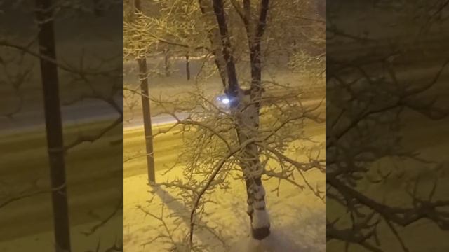 Дом Снег,Ночь. Москва смотреть онлайн