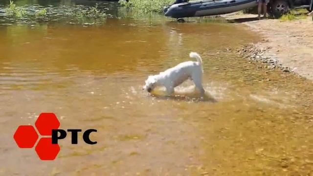 Один день на Можайском водохранилище с лодкой смотреть онлайн