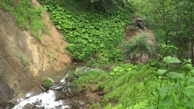 самый красивый водопад смотреть онлайн