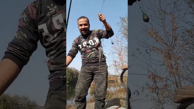 Ловля окуня на фидер смотреть онлайн