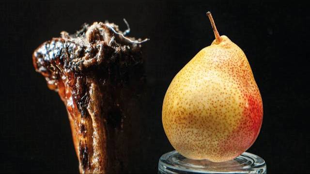 Обычные Объекты в Макро Съемке смотреть онлайн