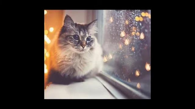 Песня: я иду и пою обо всём хорошем... смотреть онлайн