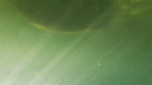 КАМЕРА GO PRO HERO 7 WHITE ПОД ВОДОЙ/GO PRO HERO 7 WHITE UNDERWATER смотреть онлайн