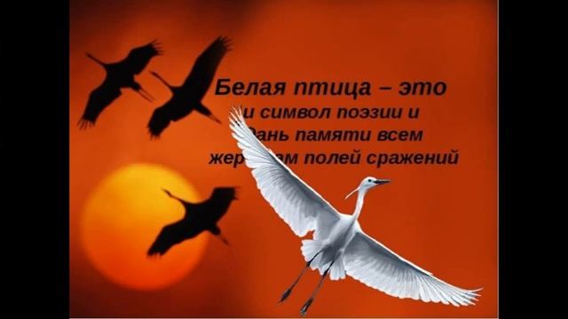 ДОФ КФл_Белые журавли памяти смотреть онлайн