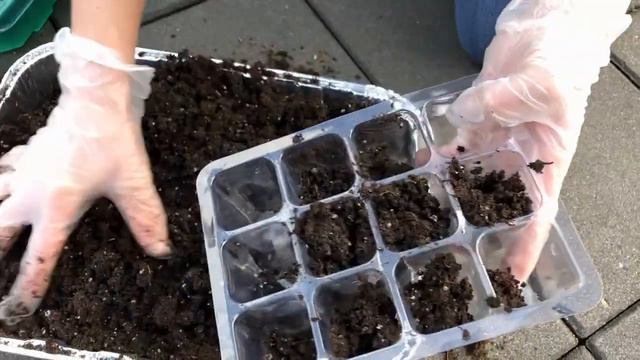 Gardening - season 1 episode 1: Planting marigolds and petunias смотреть онлайн