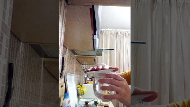 Фокус с стаканом и водой смотреть онлайн