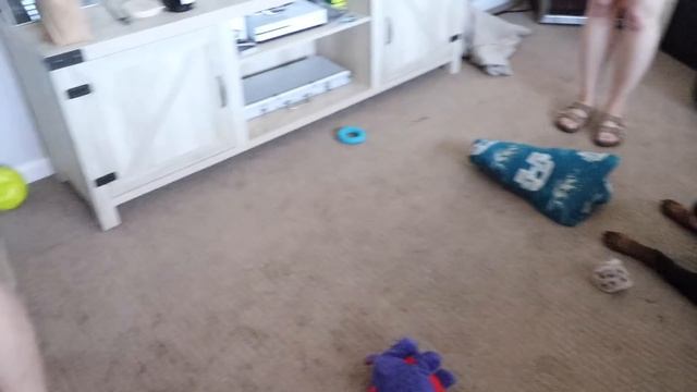 We Got A New Rottweiler Puppy смотреть онлайн