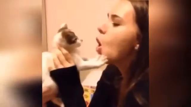 Смешная видео подборка про девочек смотреть онлайн