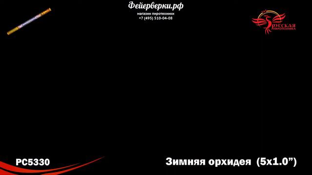 РС5330: Зимняя орхидея. смотреть онлайн