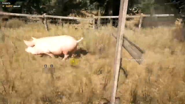 ШОК!!! ЖЕСТОКОЕ ИЗБИЕНИЕ СВИНЕЙ