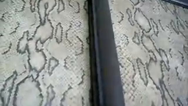 шкаф купе кожа змеи 1500 натяжной ящики, верхний рельс плюс фальшпанель! смотреть онлайн