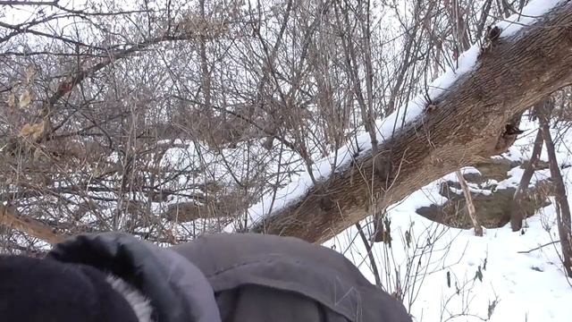 Геннадий Горин отмечает день рождения на природе, кушают торт смотреть онлайн