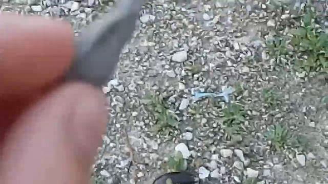 Очень большой жук смотреть онлайн