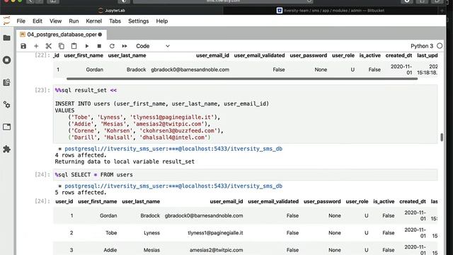Programming Essentials Python - Database Operations - DML - Data Manipulation Language смотреть онлайн