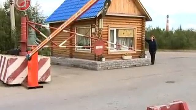 Медведь в аэропорту смотреть онлайн
