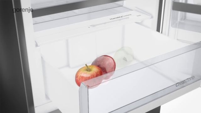 Gorenje ION Generation Fridge Freezers