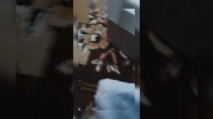 Обзор JBL  колонки.