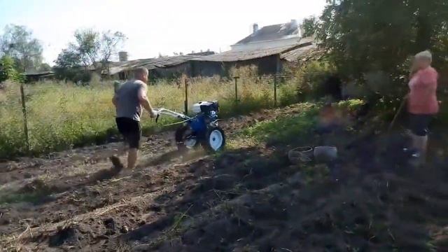 Обзор. Мотоблок BRADO 1600 и картофелевыкапыватель смотреть онлайн