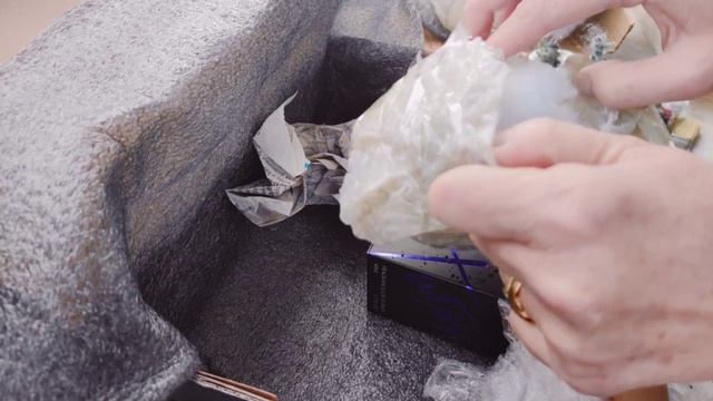 KORE HİBRİTİ SUKULENT , KARGO "SUKULENT YASEMİN" HARİKA ÖZEL TÜRLER смотреть онлайн