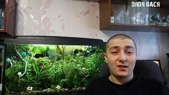 Освещение аквариума для растений и рыбок! Как узнать количество ламп для аквариума?