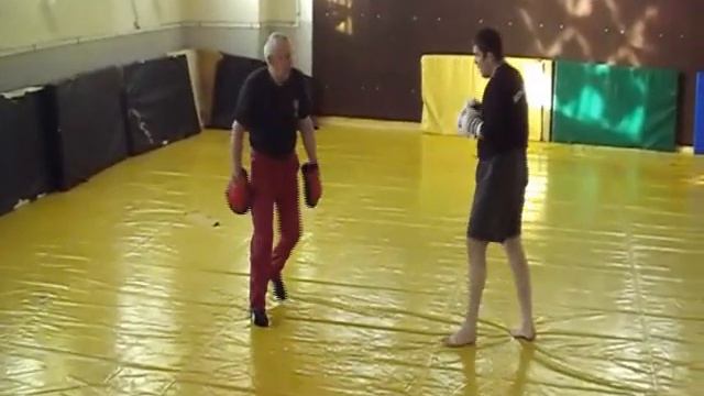Отработка комбинаций на лапах смотреть онлайн