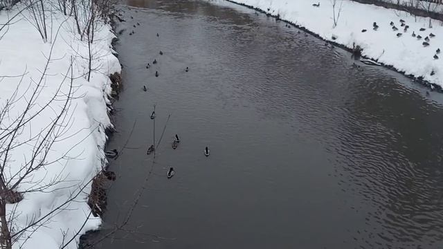 Новогодняя Москва. Парк Ростокинский акведук. смотреть онлайн