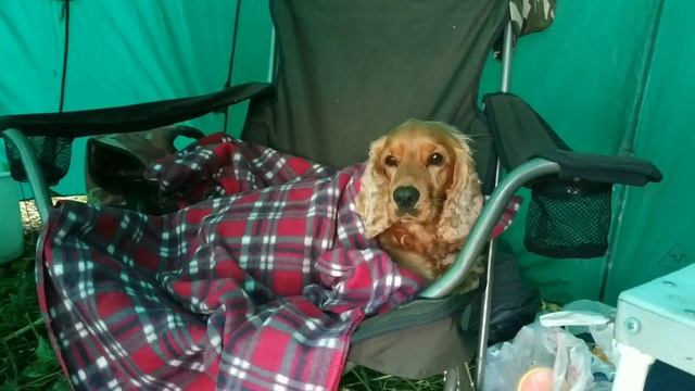 СОМ НА КВОК! ПОДНИМАЕМ ПЛАНКУ ПО ТРОФЕЮ! 5 ДНЕЙ НА ОСТРОВЕ!!! смотреть онлайн