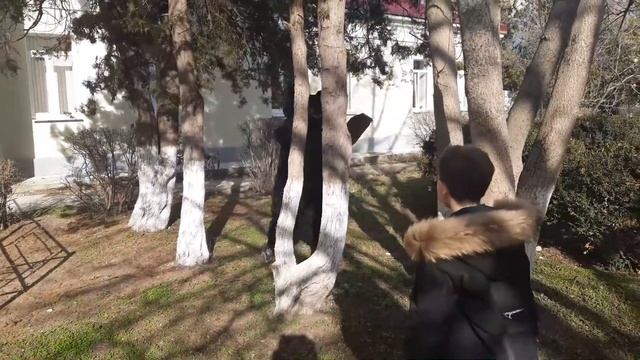 Вокальный ансамбль "ДОМИСОЛЬКА" - Ой, вставала я ранёшенько! (руководитель Корой Надежда) смотреть онлайн