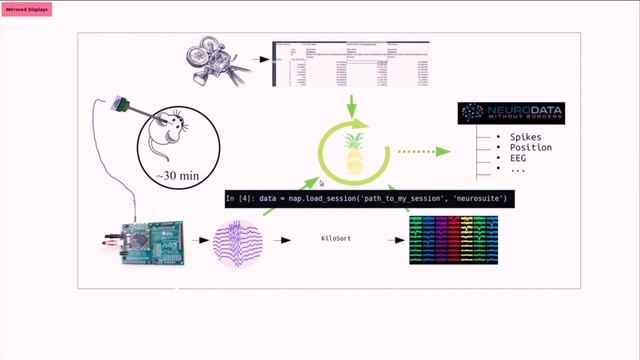 Pynapple: python neural data analysis package смотреть онлайн