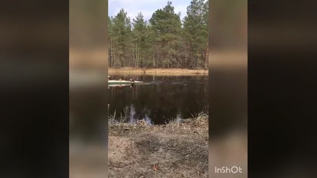 Летят перелетные птицы смотреть онлайн