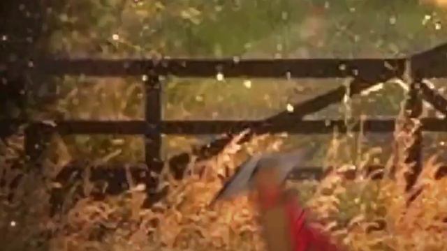 🏹•Кто кинул стрелу в Лололошку?•||Голос Времени||Гача клуб||🏹 смотреть онлайн