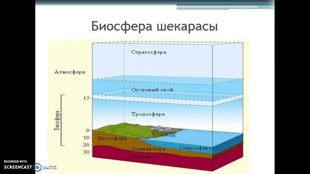 Биосфера және оның құрамдас бөліктері смотреть онлайн