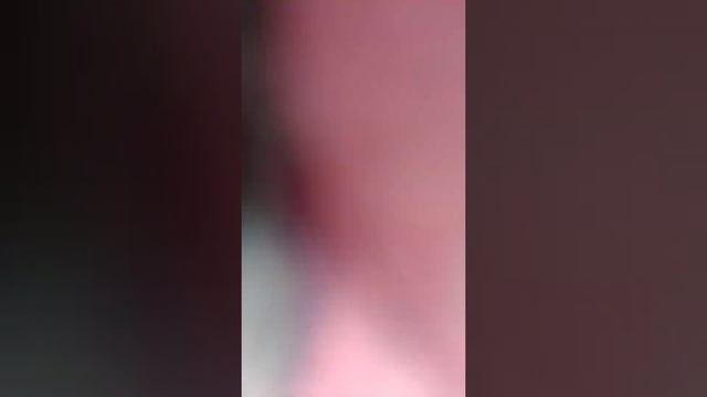 картинки Лана и Йоши ?? смотреть онлайн