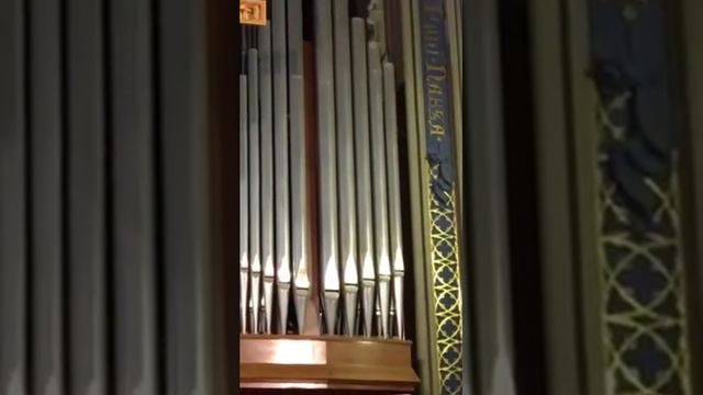 Victoria Loukianetz,Ave Maria,Schubert,live 04.01.2017 смотреть онлайн