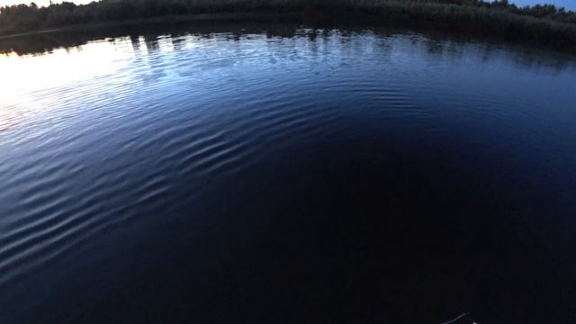 Рыбалка в Волгограде.Трофейный Белый Амур на закате. Река Ахтуба. смотреть онлайн