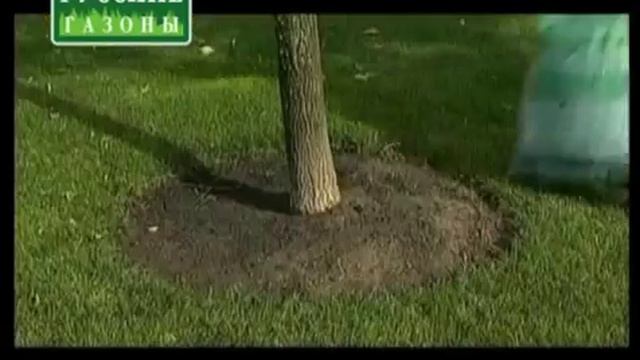 gazony.com — Натуральная декоративная древесная щепа смотреть онлайн