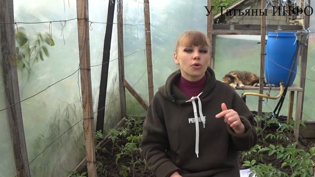 Как правильно применять ГУМАТ КАЛИЯ для ТОМАТОВ. Подкормка томатов в открытом грунте, теплице смотреть онлайн