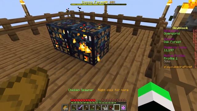 HOW TO GET EGGS IN CUBECRAFT IN JAVA EDITION смотреть онлайн