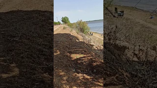 Майские деньки на р. Ахтуба смотреть онлайн