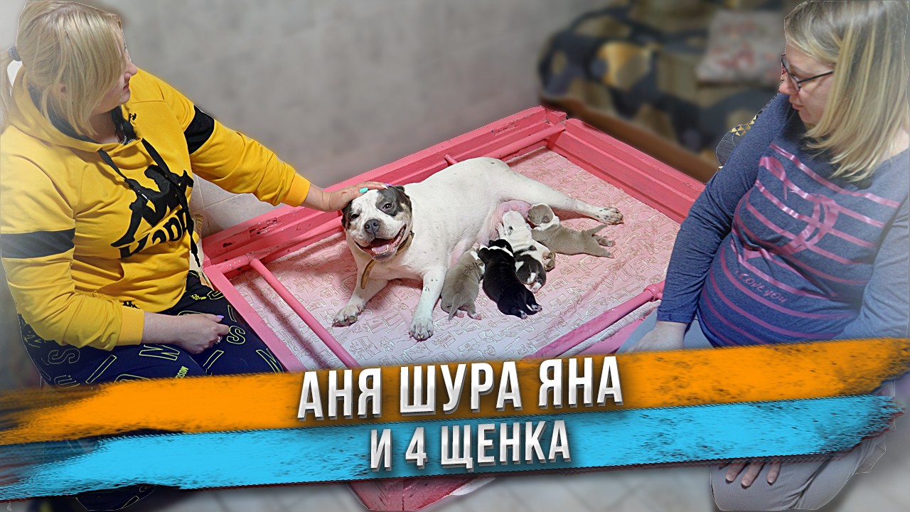 Собака не забыла хозяйку за год! Щенкам Александрии 10 дней. смотреть онлайн