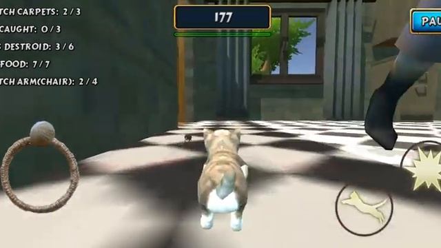 Cat Simulator : Kitty Craft - android gameplay смотреть онлайн