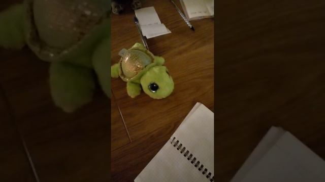 детский кружок🐶🐱 смотреть онлайн