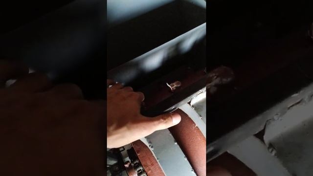 Моя трёх рядная сеялка чеснока!!! смотреть онлайн