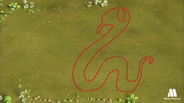 Animals Riddles For Kids, Visual Games