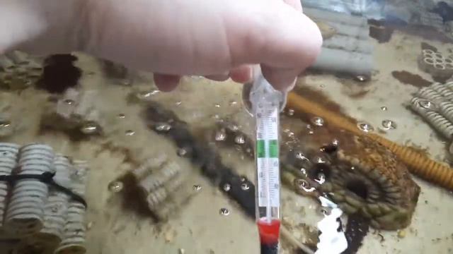 20 гр. температура в УЗВ, икра развивается нормально. смотреть онлайн