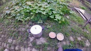 КАК ПРАВИЛЬНО ЛОВИТЬ САЗАНА. ЛУЧШАЯ ПРИКОРМКА И НАСАДКА