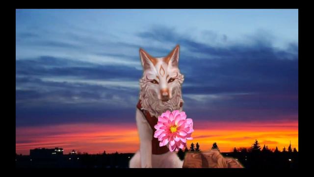 WKMV Георгины (#оле7, #doohrysi) смотреть онлайн