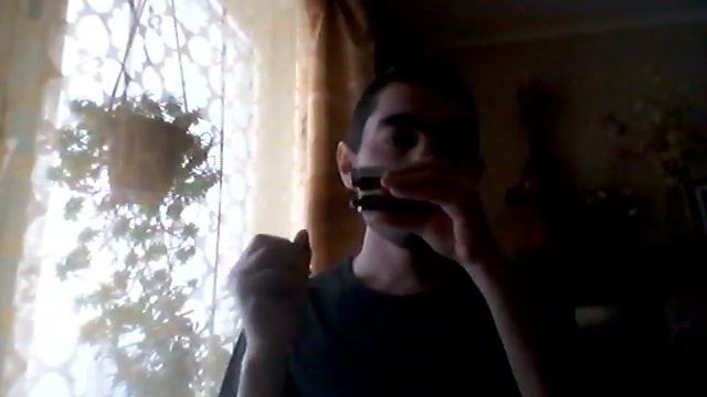Diggy liggy lo on harmonica Christian Labrecque cover #stratocastro #harp #губнаягармошка смотреть онлайн