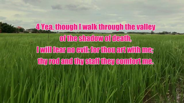 PSALMEN 23 / PSALM 23 GERMAN ENGLISH AV BIBLE смотреть онлайн
