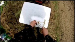 Рабочая наживка  . Ловим на ракушку  перловицу крупную рыбу